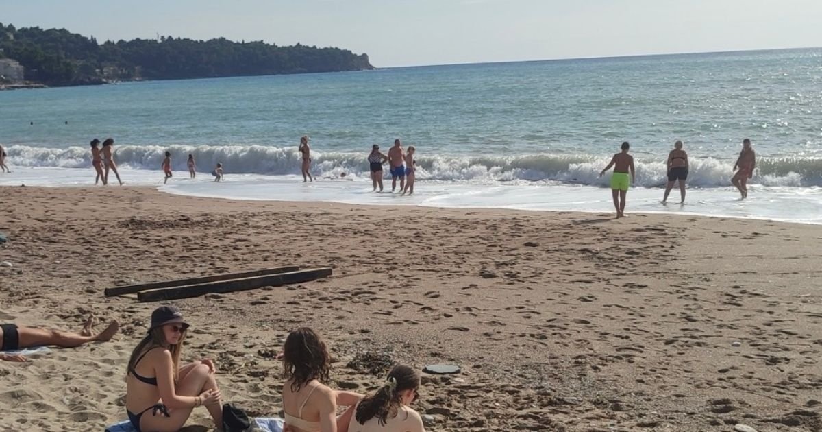 More kod Sutomora izbacilo stvorenje koje izgleda kao da je iz naučnofantastičnih filmova: Evo o čemu se radi