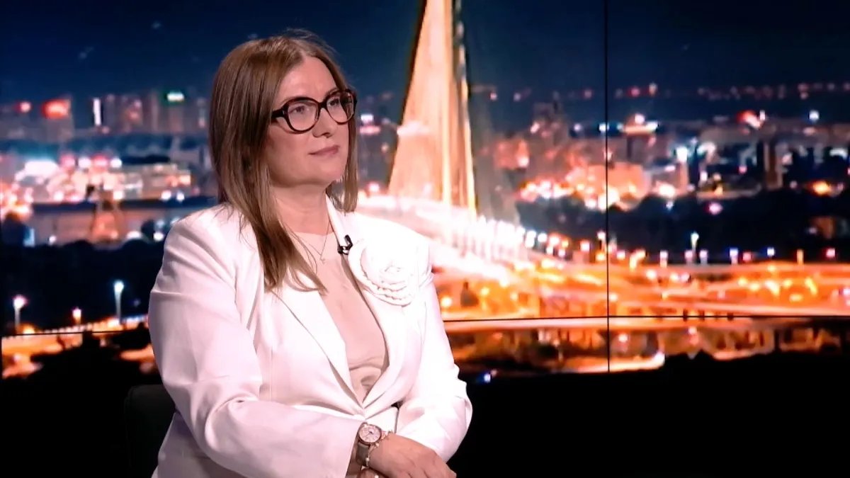 Dragojlović: Srbija je ispunila uslove za otvaranje Klastera 3, ali preduslove nije - vladavina prava, podela vlasti i rad institucija