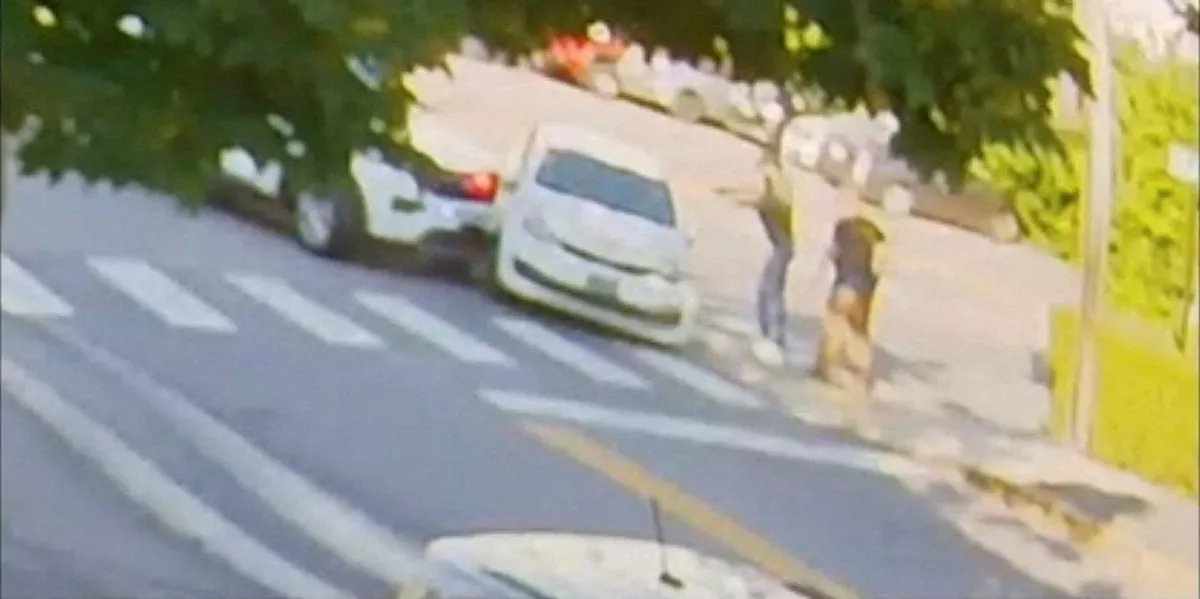 Agent ICE ubio vozača u Mejnu, šest dana nakon slične smrti u Teksasu