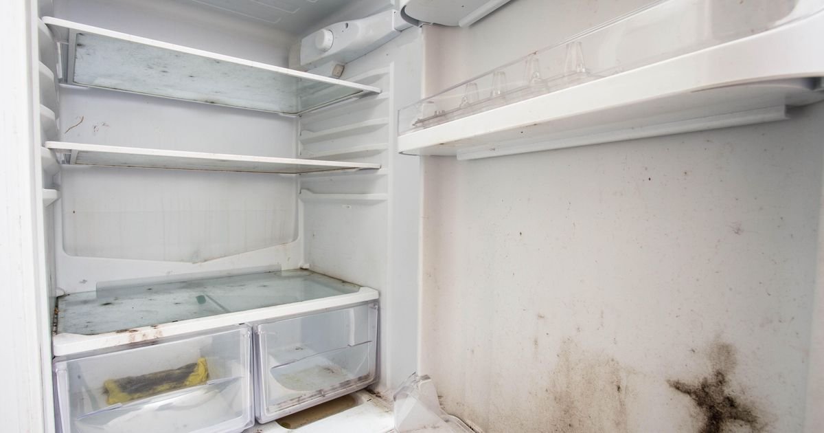 Imate li ovu stvar u frižideru? Ako je mesecima ne dirate, može postati izvor buđi