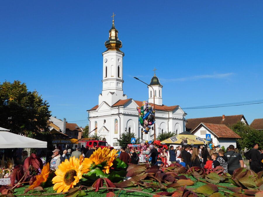 ZA ORGANIZACIJU "MIHOLJSKIH SUSRETA SELA": Pola miliona dinara za Loznicu od Ministarstva za brigu o selu