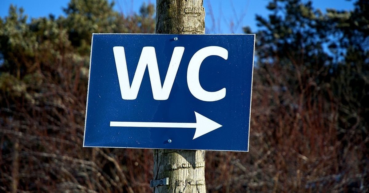 Okrenuće vam se želudac i trpećete koliko treba, samo da ne uđete u ovaj WC: "Autentično balkansko iskustvo"