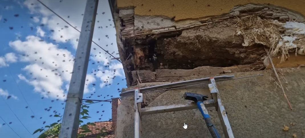 Neverovatan snimak opasnog roja u selu kod Niša: Vladica u kući zatekao jeziv prizor: Pogledajte gde su se uselile pčele VIDEO