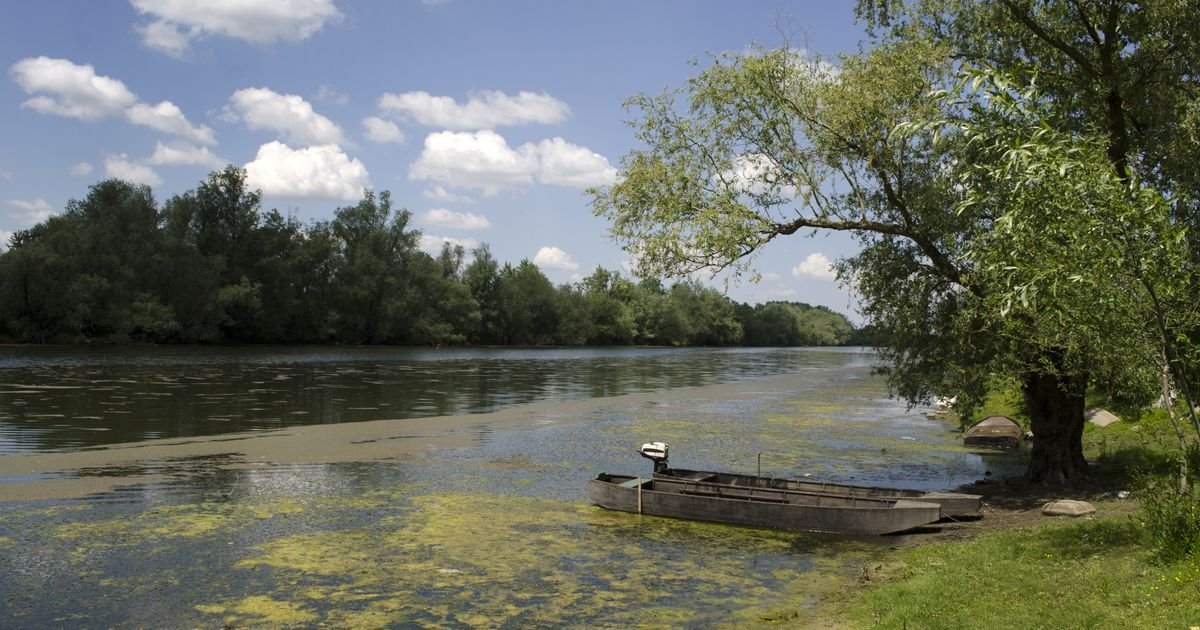 Za novi bunar na izvorištu "Dunav" u Beočinu 20 miliona dinara: Cilj ukidanje restrikcija vode za tri naselja